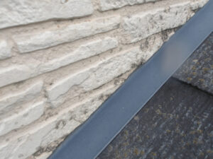 外壁 塗装 サイディング 何年 苔