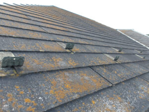 スレート　屋根塗装　メンテナンス　コケ