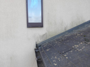 ミサワホーム　外壁塗装　何年　コケ